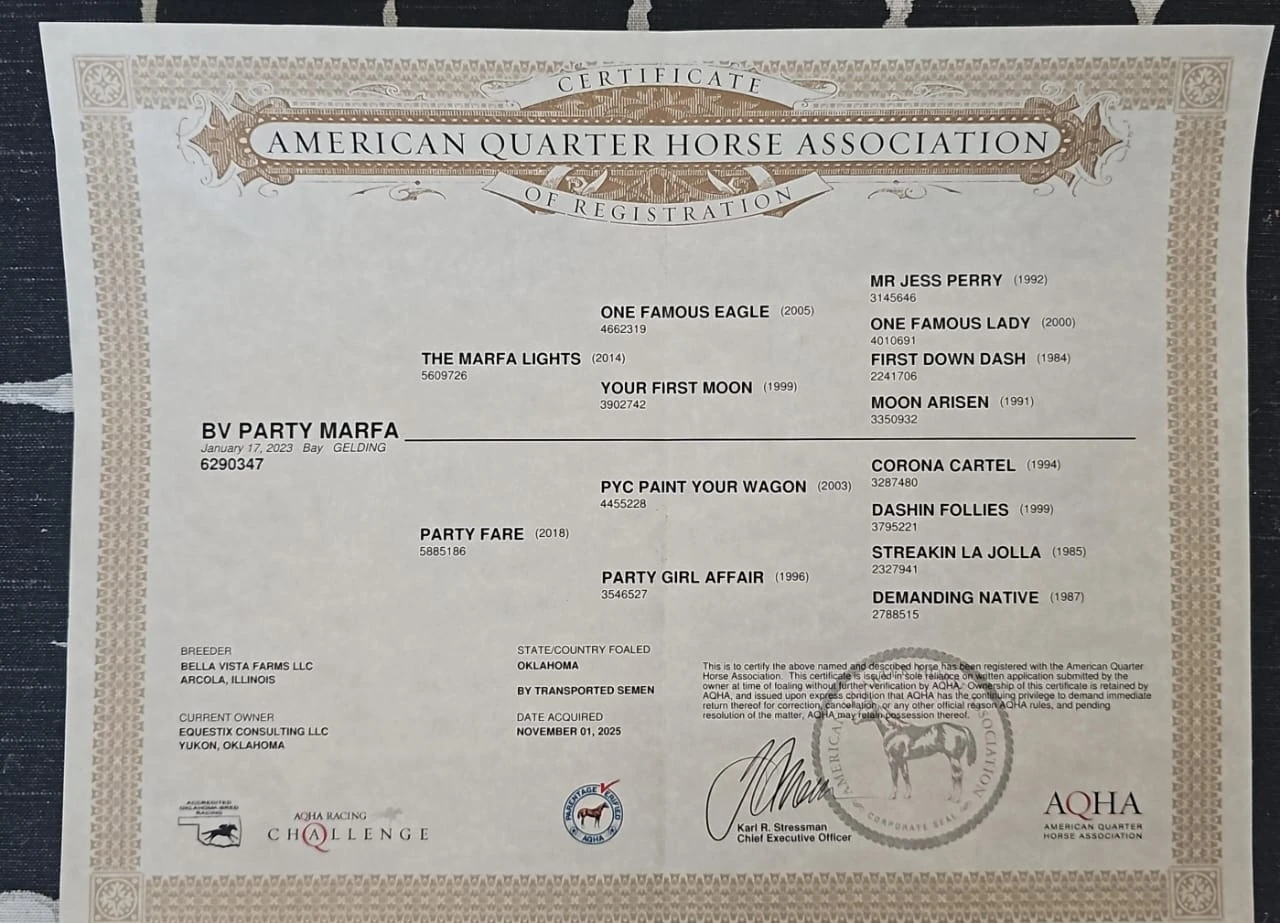 Certificado de registro AQHA de BV Party Marfa